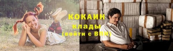дурь Лабытнанги