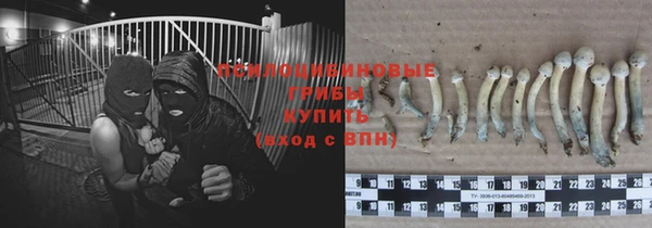 дурь Лабытнанги
