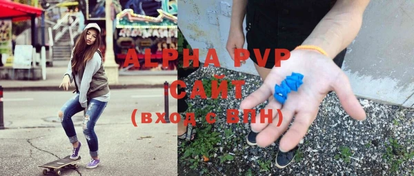 стаф Ладушкин