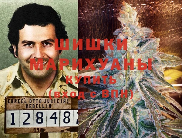 стаф Ладушкин