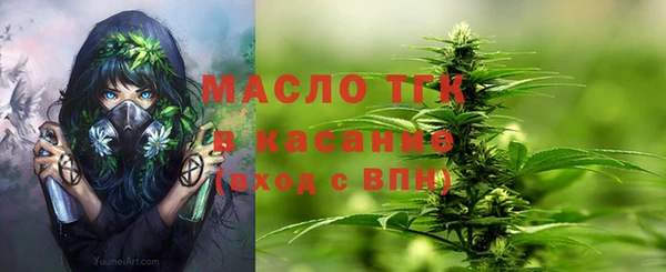 дурь Лабытнанги