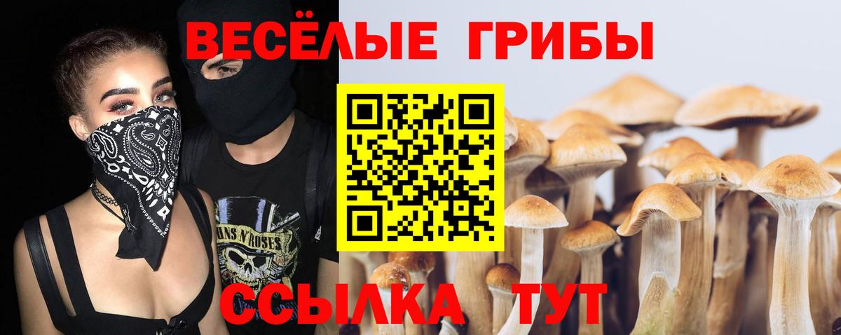 Псилоцибиновые грибы прущие грибы  Вход с VPN  Лобня 